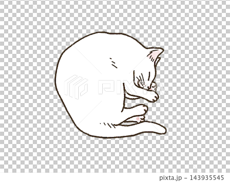 A white cat curled up and sleeping soundly. A white cat curled up and sleeping soundly. 143935545