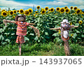 ひまわり畑の案山子達 143937065