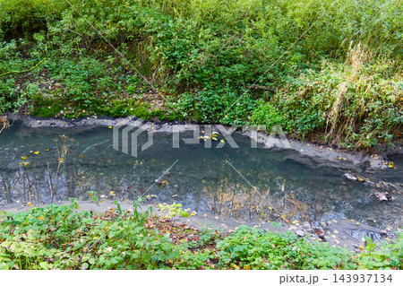 Polluted forest creek featuring murky water and dark toxic sludge along muddy banks, environmental disaster showing ecological damage within lush green woodland nature scene 143937134