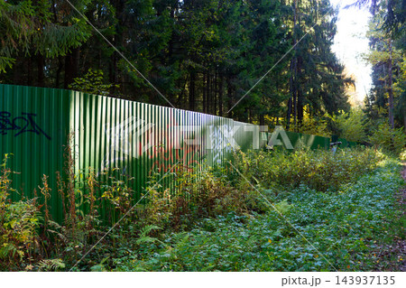 Green corrugated fence with vibrant graffiti tags along a narrow forest path, representing an enclosed area deep in the woods: Russia - October 7, 2026 Green corrugated fence with vibrant graffiti tags along a narrow forest path, representing an enclosed area deep in the woods: Russia - October 7, 2026 143937135