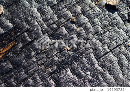 Charred wooden plank texture with deep cracked patterns and scorched black surface, weathered material resulting from fire damage, detailed rustic dark timber background 143937824