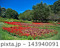 赤い花壇 143940091