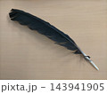 シンプルな木目のテーブルの上に置かれたツヤのある美しい黒い鳥の羽/ 143941905