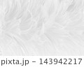 Beautiful white grey bird feathers pattern texture background. 143942217