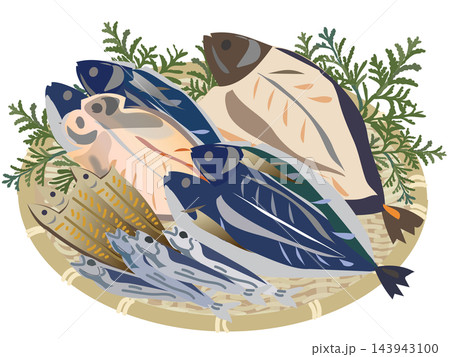 ザルに盛られた干物と魚のイラストセット ザルに盛られた干物と魚のイラストセット 143943100