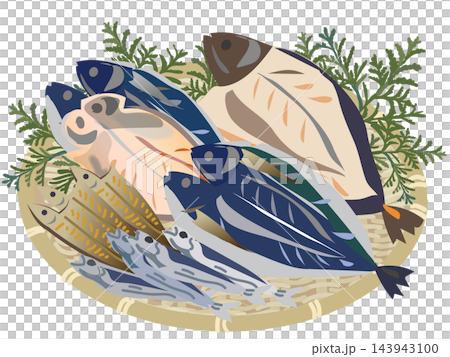 ザルに盛られた干物と魚のイラストセット ザルに盛られた干物と魚のイラストセット 143943100