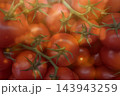 Fresh Ripe Tomatoes on Vine Fresh Ripe Tomatoes on Vine 143943259