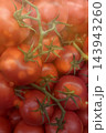 Fresh Ripe Tomatoes on Vine Fresh Ripe Tomatoes on Vine 143943260