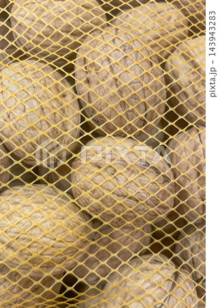 Whole Walnuts in Mesh Bag Whole Walnuts in Mesh Bag 143943283
