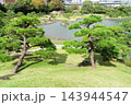 旧芝離宮恩賜庭園の庭園風景と池 143944547