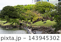 旧芝離宮恩賜庭園の枯滝と心字池の石組み 143945302