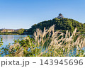 国宝犬山城、木曽川河畔遊歩道からの眺め〈愛知県犬山市〉 143945696