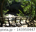 自然の中にある橋 143950447