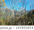 白樺や落葉樹の枝越しに荒々しい山肌を望む風景 143950454