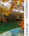 蔵王どっこ沼の紅葉とエメラルドグリーンの水面 143950669