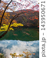 蔵王どっこ沼の紅葉とエメラルドグリーンの水面 143950671