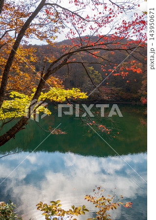 蔵王どっこ沼の紅葉とエメラルドグリーンの水面 蔵王どっこ沼の紅葉とエメラルドグリーンの水面 143950671