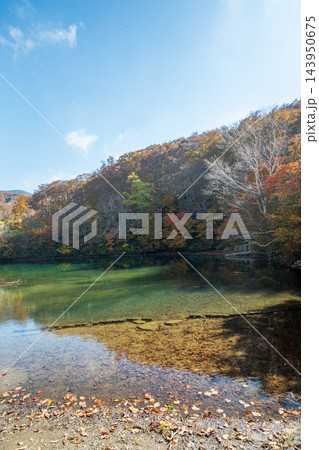 蔵王どっこ沼の紅葉とエメラルドグリーンの水面 143950675