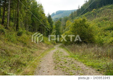 Hiking trail through forest in mountain landscape 143951045
