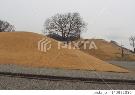 丸山塚古墳　山梨県甲府市 143951050