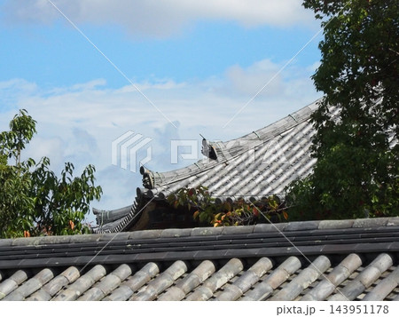 奈良の風景 143951178