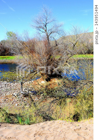 Salt River Recreation Area Arizona 143951494