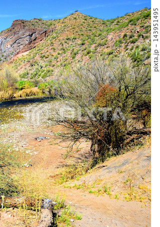 Salt River Recreation Area Arizona Salt River Recreation Area Arizona 143951495