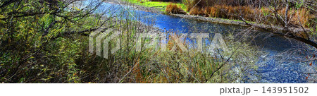 Salt River Recreation Area Arizona Salt River Recreation Area Arizona 143951502
