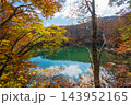 蔵王どっこ沼の紅葉とエメラルドグリーンの水面 143952165