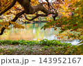 蔵王どっこ沼の紅葉とエメラルドグリーンの水面 143952167