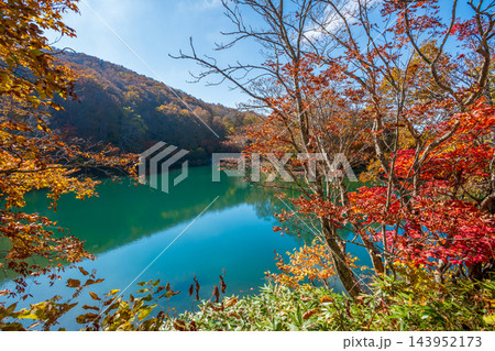 蔵王どっこ沼の紅葉とエメラルドグリーンの水面 蔵王どっこ沼の紅葉とエメラルドグリーンの水面 143952173