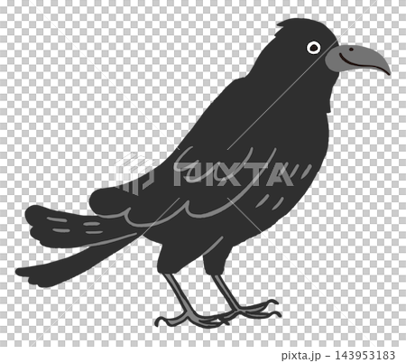A crow facing sideways - a simple hand-drawn illustration 143953183