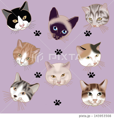 猫のイラスト　壁紙 143953508