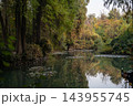 Peaceful Autumn Pond with Ducks and Colorful Foliage Reflected in Still Water. 143955745