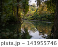 Peaceful Autumn Pond with Ducks and Colorful Foliage Reflected in Still Water. 143955746