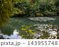 Peaceful Autumn Pond with Ducks and Colorful Foliage Reflected in Still Water. 143955748