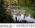 Peaceful Autumn Pond with Ducks and Colorful Foliage Reflected in Still Water. 143955749