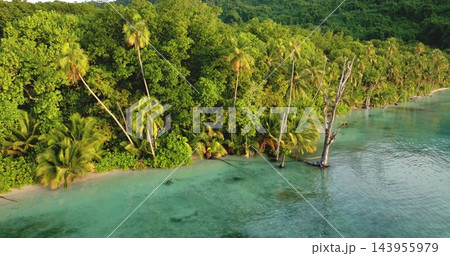 Tegua island shoreline lush tropical rainforest meeting pristine turquoise water, palm trees lining a secluded beach and a calm ocean perfect for relaxation. Torres Islands, Vanuatu. Tropical paradise Tegua island shoreline lush tropical rainforest meeting pristine turquoise water, palm trees lining a secluded beach and a calm ocean perfect for relaxation. Torres Islands, Vanuatu. Tropical paradise 143955979