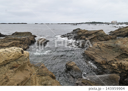 岩場の海岸から野島崎を望む 岩場の海岸から野島崎を望む 143959904