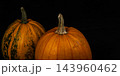 Pumpkins in autumn for Halloween celebration and seasonal decoration 143960462