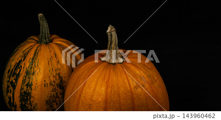 Pumpkins in autumn for Halloween celebration and seasonal decoration Pumpkins in autumn for Halloween celebration and seasonal decoration 143960462