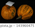 Two pumpkins on a dark background for Halloween and autumn decoration 143960475