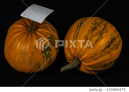 Two pumpkins on a dark background for Halloween and autumn decoration Two pumpkins on a dark background for Halloween and autumn decoration 143960475