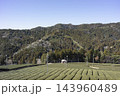 掛川市の山間に広がる茶畑と早春の山々 143960489