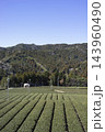 掛川市の山間に広がる茶畑と早春の山々 143960490