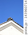 青空 143960714