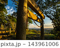 高天神城跡の鳥居と遠望の富士山 143961006