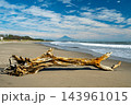 須々木海岸の流木と遠望の富士山 143961015