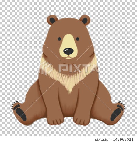 座っている熊のかわいいイラスト 座っている熊のかわいいイラスト 143963021