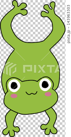 A Cute Cartoon Frog Illustration 143963303